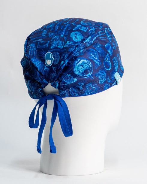 Gorro Blue Anatomie